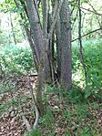 20250527_075620 (1)