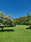 IMG_20250501_115214