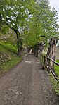 IMG_20250425_135207