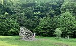 20250523_093858