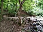 IMG_20250519_173715