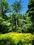 IMG_20250502_124514