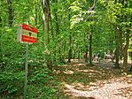IMG_20250502_131719