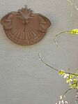 IMG_20250501_065108