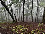 IMG_0661