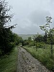 IMG_0681