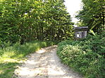 Nádasdi erdő-7