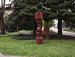 Vadvirág-út 003