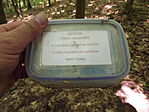 Tókaji parkerdő-5