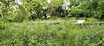 IMG20250515130054