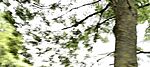 IMG20250515130521