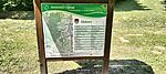 IMG20250513114529