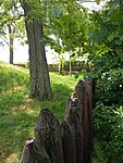 IMG_20250513_105502