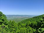 IMG_20250502_100215