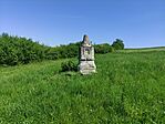 IMG_20250502_133148