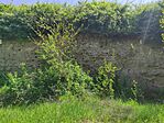 IMG_20250502_135338