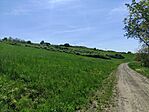 IMG_20250502_135437