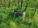 IMG_20250502_161315