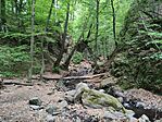 IMG_20250511_095902