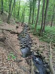 IMG_20250511_110036
