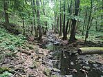 IMG_20250511_091833