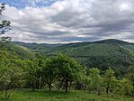 IMG_20250511_144224