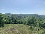 IMG_0294