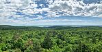 IMG_0388