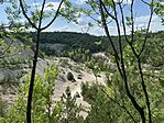 IMG_0412