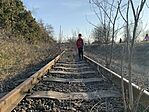 IMG_9349