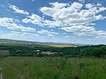 IMG_0692
