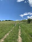 IMG_0689