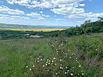 IMG_0693