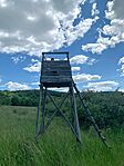 IMG_0695