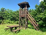 IMG_0699