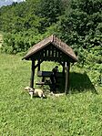 IMG_0702