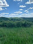 IMG_0704