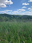 IMG_0706
