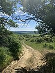 IMG_0715