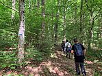 IMG_0521