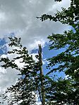 IMG_0526
