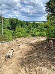 IMG_0528