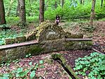 IMG_0539