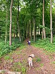 IMG_0544