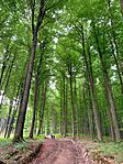 IMG_0546
