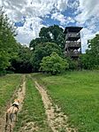 IMG_0552