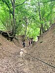 IMG_0562