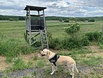 IMG_0568