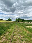 IMG_0572