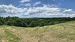 IMG_0601